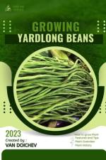 Yardlong Beans af Van Doichev