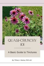 Quasi-Crunchy 101 af Lindsey Williams