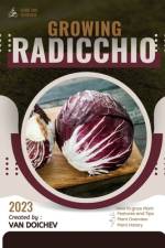 Radicchio af Van Doichev