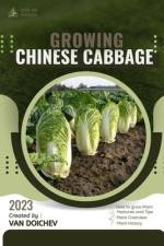 Chinese Cabbage af Van Doichev