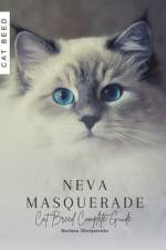 Neva Masquerade af Ruslana Shurpatenko