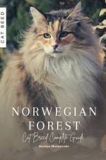 Norwegian Forest af Ruslana Shurpatenko