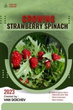 Strawberry Spinach af Van Doichev