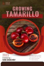 Tamarillo af Van Doichev