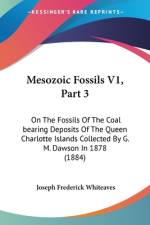 Mesozoic Fossils V1, Part 3 af Joseph Frederick Whiteaves