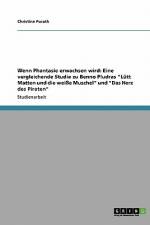Wenn Phantasie erwachsen wird: Eine vergleichende Studie zu Benno Pludras 