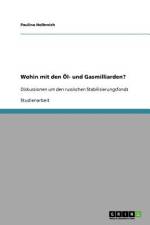 Wohin mit den Öl- und Gasmilliarden? af Paulina Holbreich