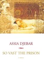 So Vast the Prison af Assia Djebar