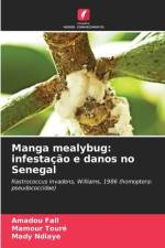 Manga mealybug: infestação e danos no Senegal af Amadou Fall
