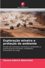 Exploração mineira e proteção do ambiente af Maneno Kakule Ndavugha
