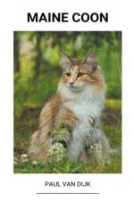 Maine Coon af Paul van Dijk