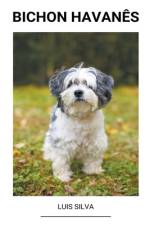 Bichon Havanês af Luis Silva