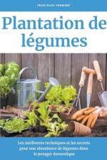 Plantation de légumes af Jean Paul Fermier