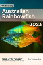 Australian Rainbowfish af Iva Novitsky