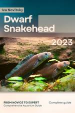 Dwarf Snakehead af Iva Novitsky