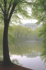 The Foggy Bottom Swamp Creatures af Antonios Valamontes