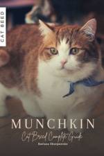 Munchkin af Ruslana Shurpatenko