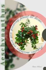 Aeschynanthus af Tetiana Sabanen