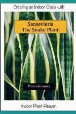 Creating an Indoor Oasis with Sansevieria Snake Plant af Water Dreamer