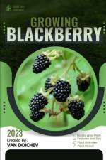 Blackberry af Van Doichev