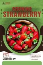 Strawberry af Van Doichev