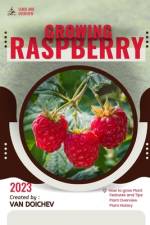 Raspberry af Van Doichev