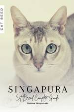 Singapura af Ruslana Shurpatenko