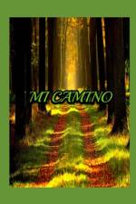 Mi Camino af Jorge Diaz Vilches