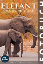 Elefant af A Arelt