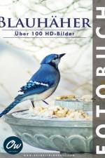 Blauhäher af A Arelt