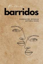 Rincones barridos af Antonia Wang