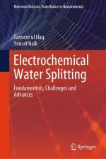 Electrochemical Water Splitting af Tanveer Ul Haq