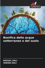Bonifica delle acque sotterranee e del suolo af Naouel Dali