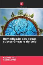 Remediação das águas subterrâneas e do solo af Naouel Dali