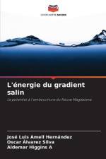 L'énergie du gradient salin af José Luis Amell Hernández