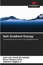 Salt Gradient Energy af José Luis Amell Hernández