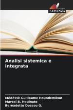 Analisi sistemica e integrata af Médéssè Guillaume Houndemikon