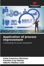 Application of process improvement af Celia Francisco Martínez