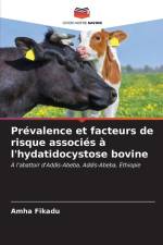Prévalence et facteurs de risque associés à l'hydatidocystose bovine af Amha Fikadu