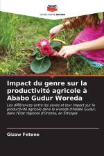 Impact du genre sur la productivité agricole à Ababo Gudur Woreda af Gizaw Fetene