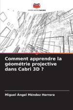 Comment apprendre la géométrie projective dans Cabri 3D ? af Miguel Ángel Méndez Herrera