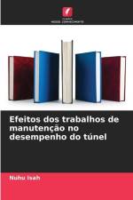Efeitos dos trabalhos de manutenção no desempenho do túnel af Nuhu Isah