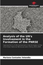 Analysis of the UN's Involvement in the Formation of the PNRSE af Mariana Canizales Velandia