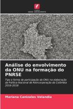 Análise do envolvimento da ONU na formação do PNRSE af Mariana Canizales Velandia