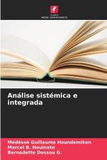 Análise sistémica e integrada af Médéssè Guillaume Houndemikon