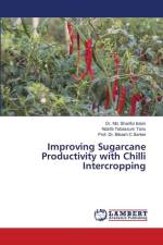 Improving Sugarcane Productivity with Chilli Intercropping af Md. Shariful Islam