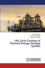 Life Cycle Costing of Thermal Energy Storage System af Ali Akbar Jaffery