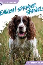 English Springer Spaniels af Libby Wilson