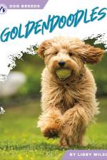Goldendoodles