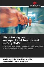 Structuring an occupational health and safety SMS af Kelly Natalia Murillo Laprilla